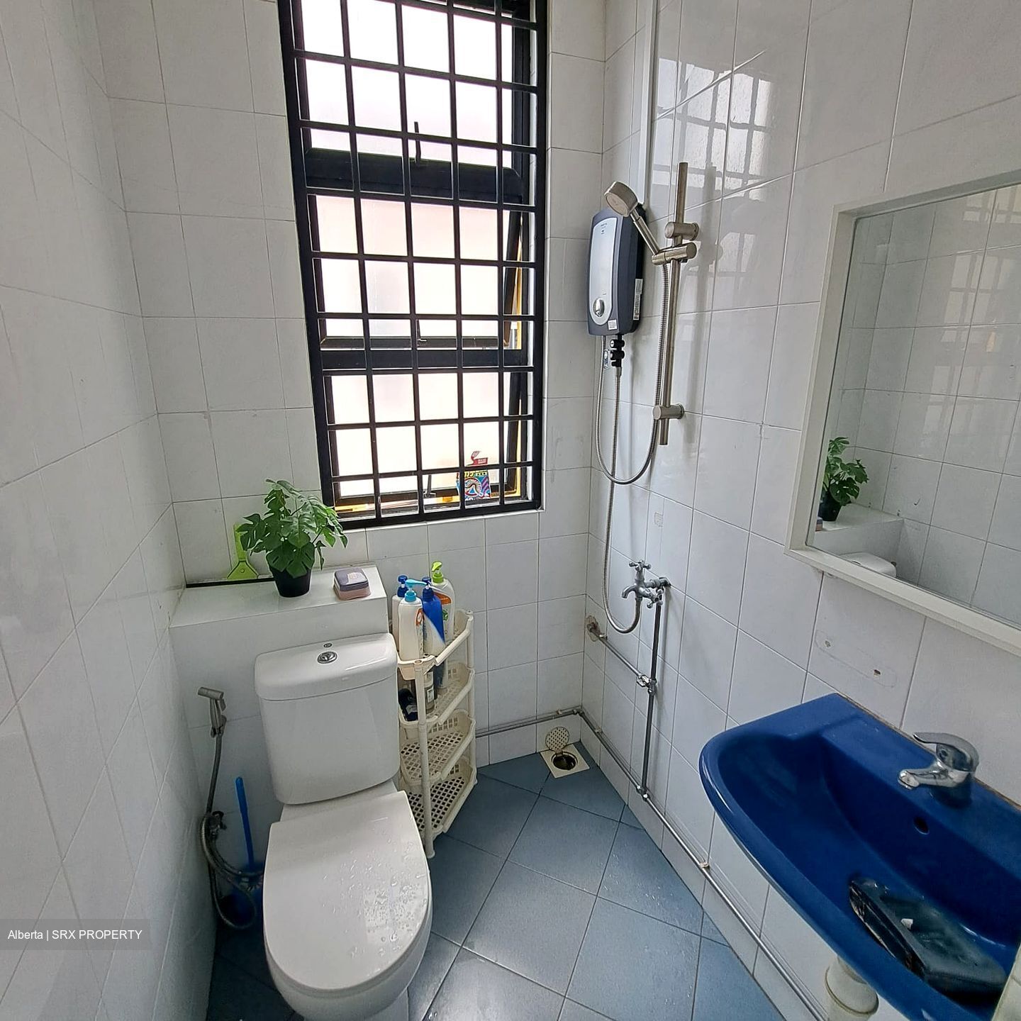 Balestier Road (D12), Shop House #505637101